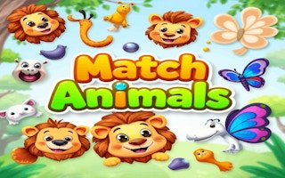 Image Match Animals