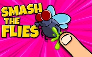 Image Smash the Flies